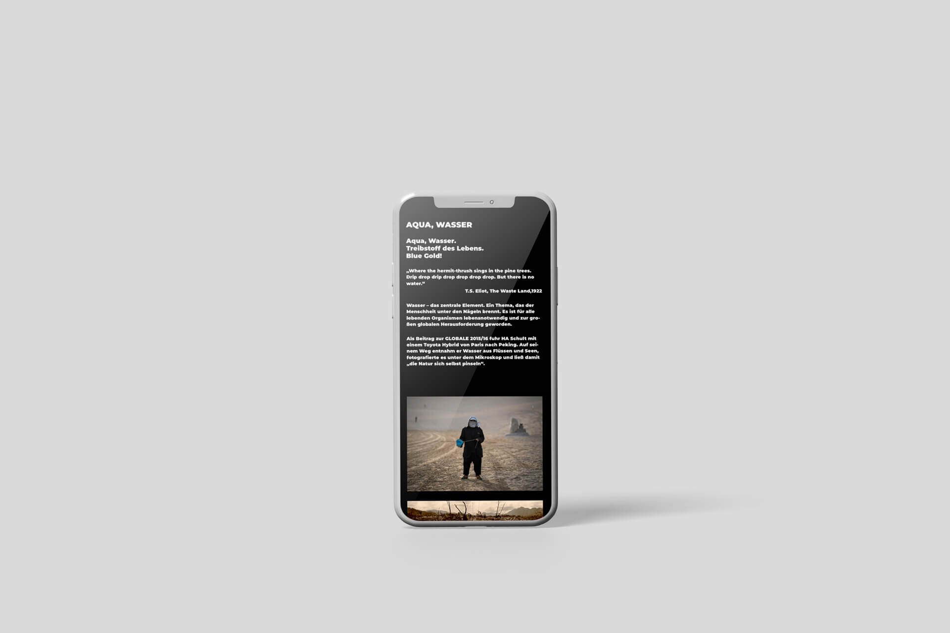 Homepagebild der Website Blaueburg auf einem Handy